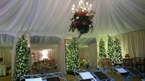 decor and design tent rental chandelier lighted tree